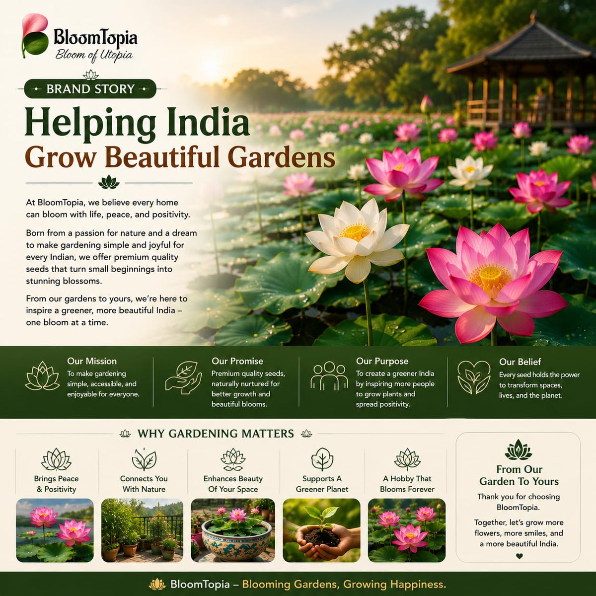 Outdoor lotus pond and brand-information illustration.