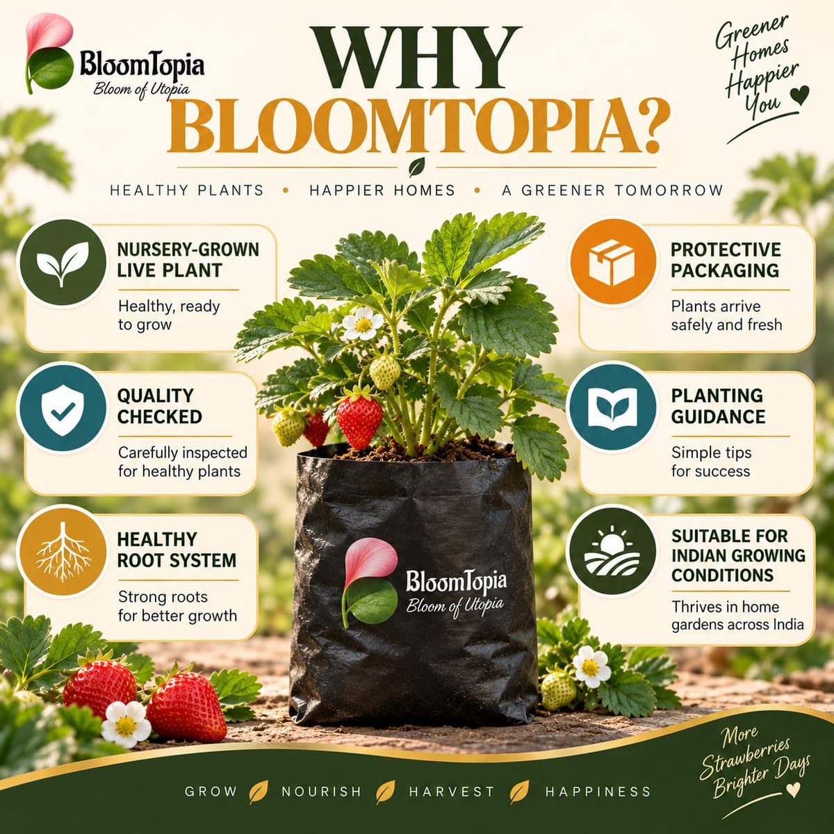 BloomTopia plant-handling and brand-information panel featuring Strawberry.