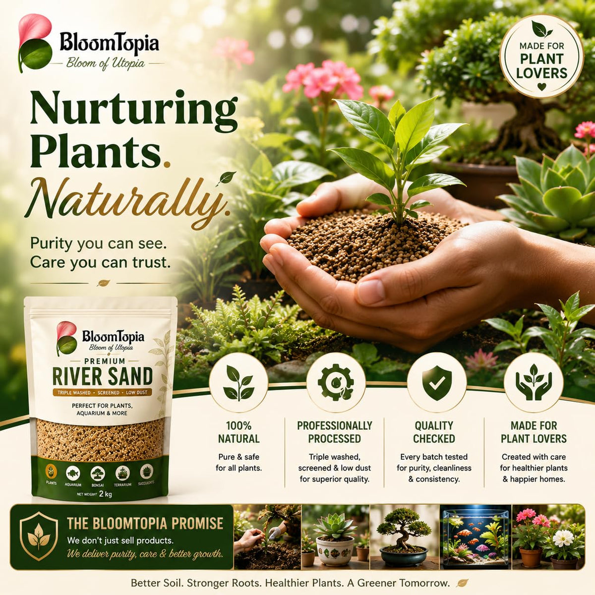 Hands holding a small plant beside river sand packaging.