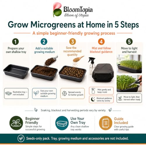 Five-step microgreen sowing and growing illustration.