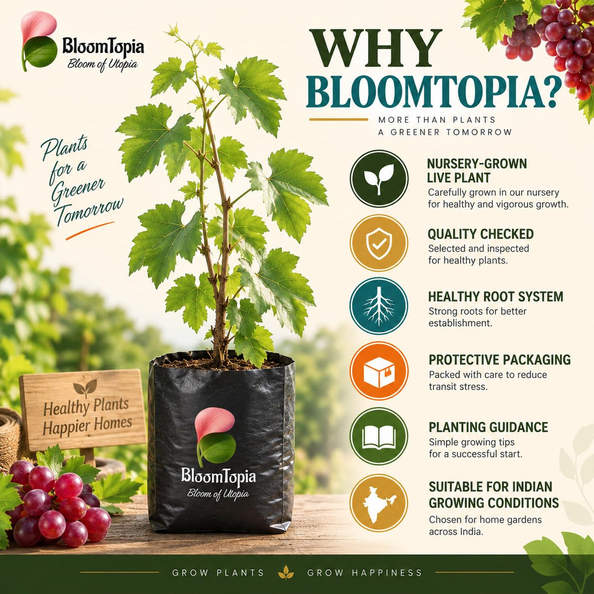 BloomTopia plant-handling and brand-information panel featuring Red Grape Vine.
