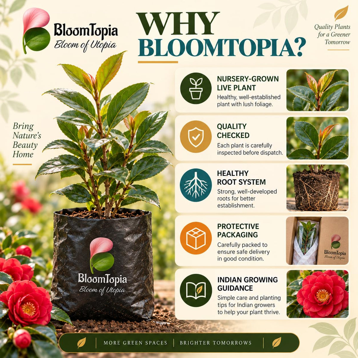 BloomTopia plant-handling and brand-information panel featuring Rare Red Hybrid Camellia.