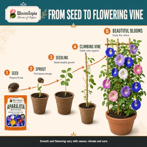 Illustrated progression from Aparajita seed to flowering vine.