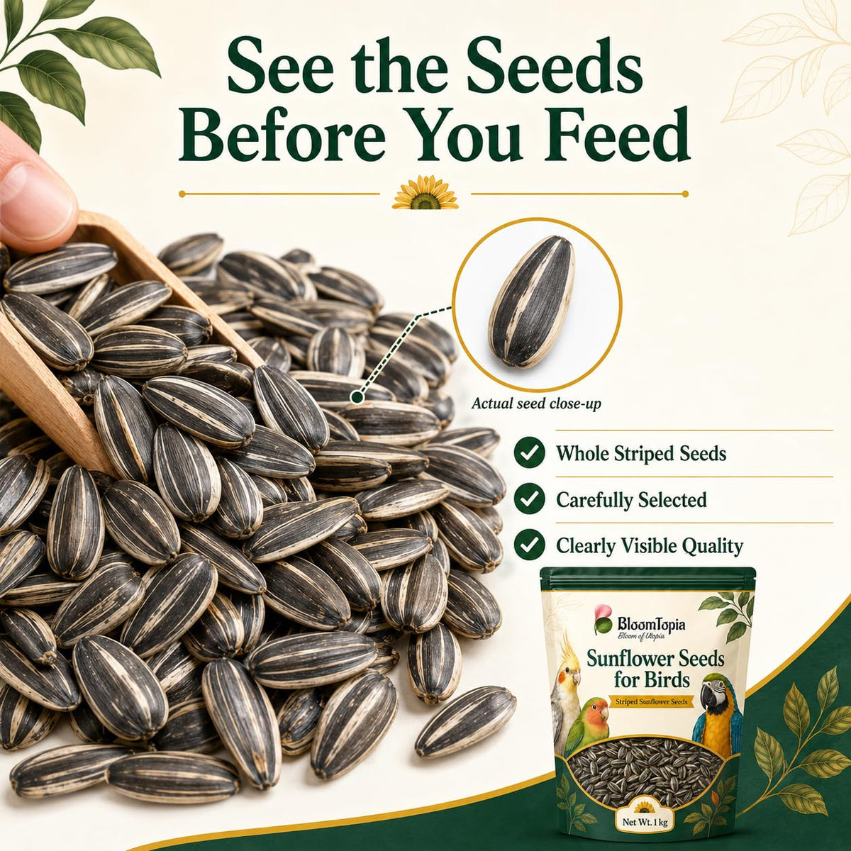 Close-up of striped sunflower seeds.