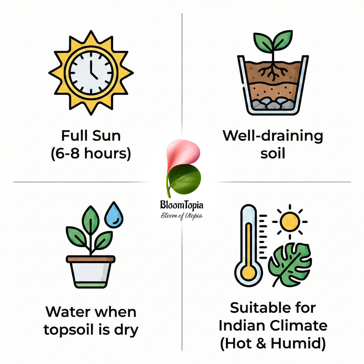 Illustrated sunlight, soil and watering guide for Apple Ber.