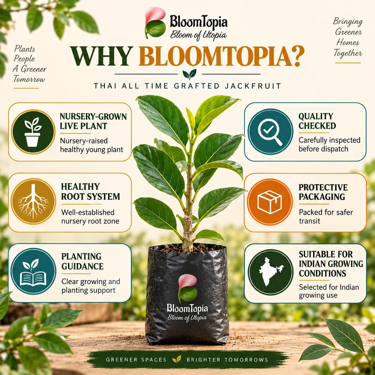 BloomTopia plant-handling and brand-information panel featuring Thai All Time Grafted Jackfruit.