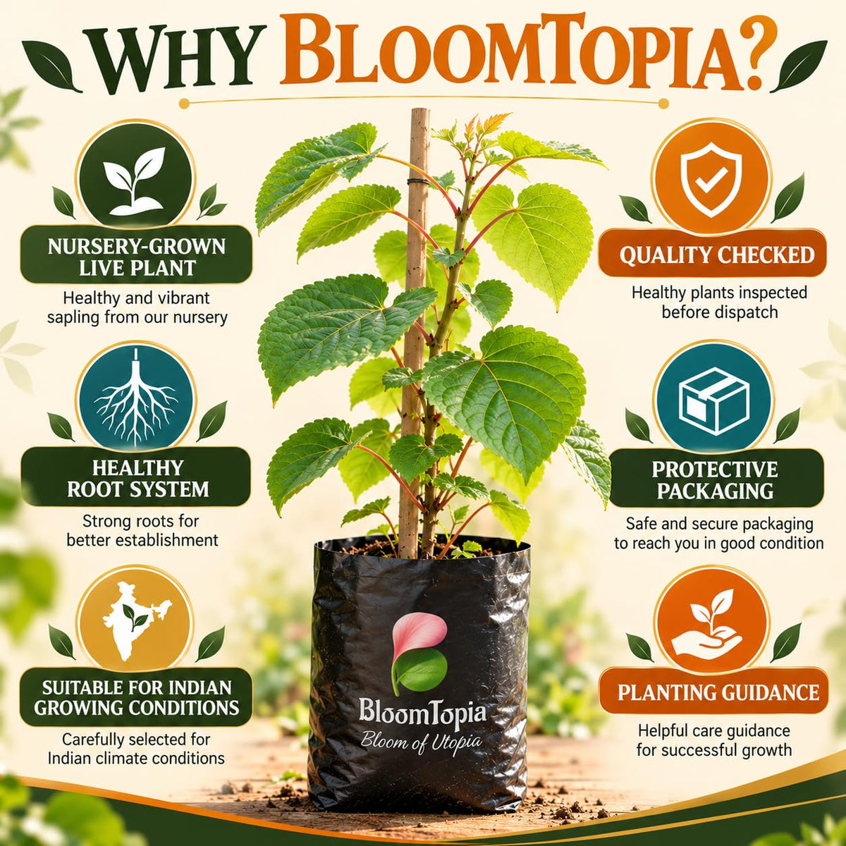 BloomTopia kiwi plant handling and packing information.