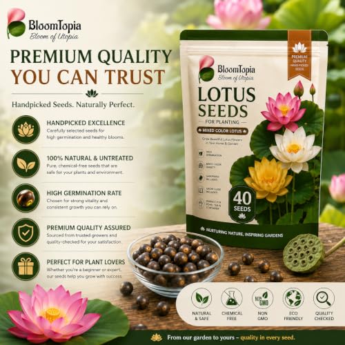 BloomTopia lotus seed-pack and brand-information panel.
