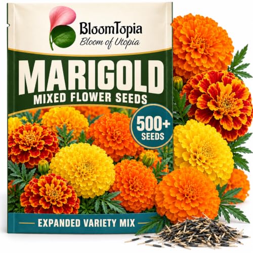 BloomTopia marigold seed pouch beside orange and yellow flowers.