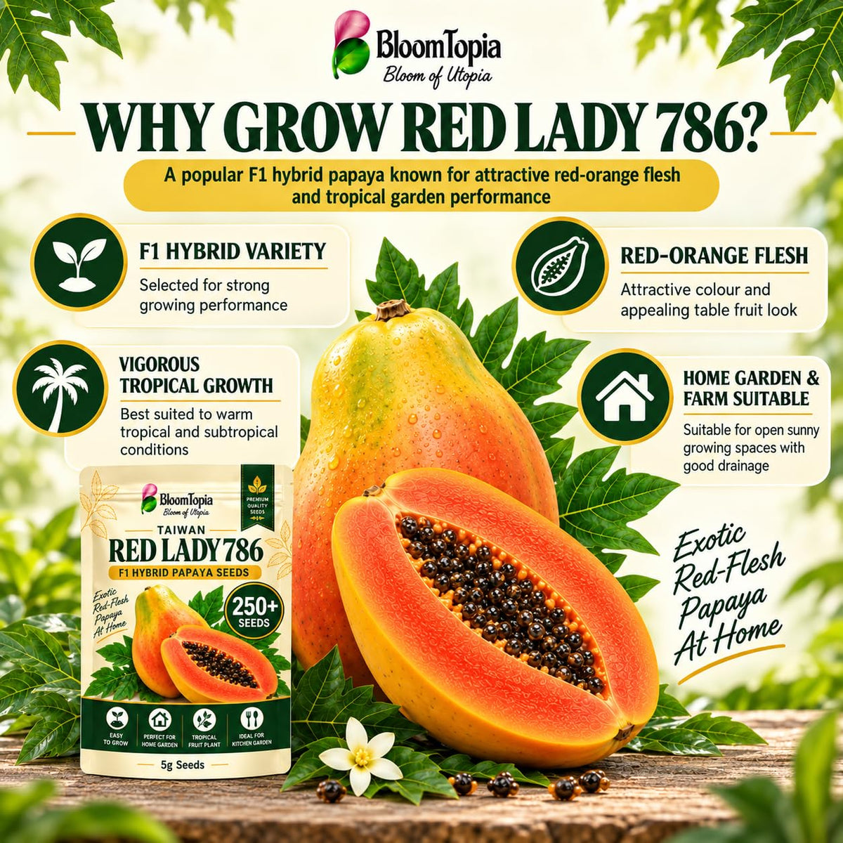 Papaya fruit illustration with variety-feature callouts.