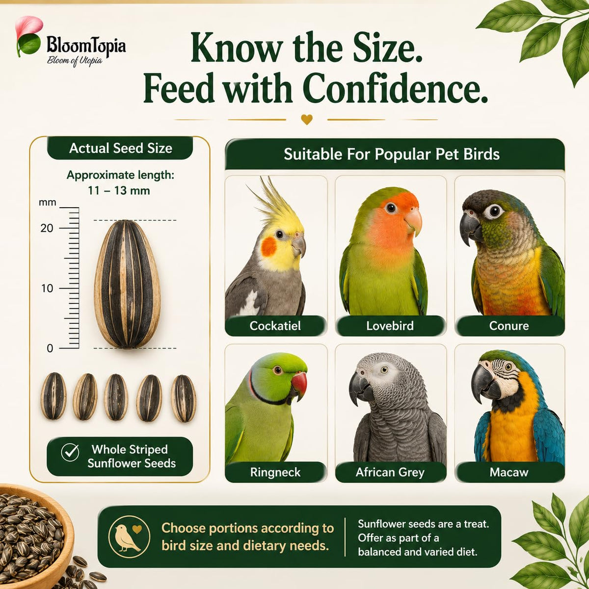 Sunflower seed size and bird examples panel.