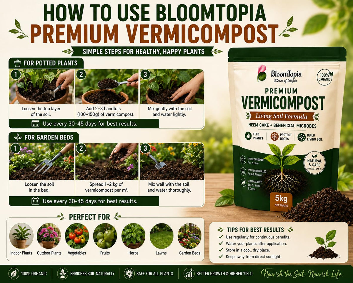 Vermicompost application guide for plants.