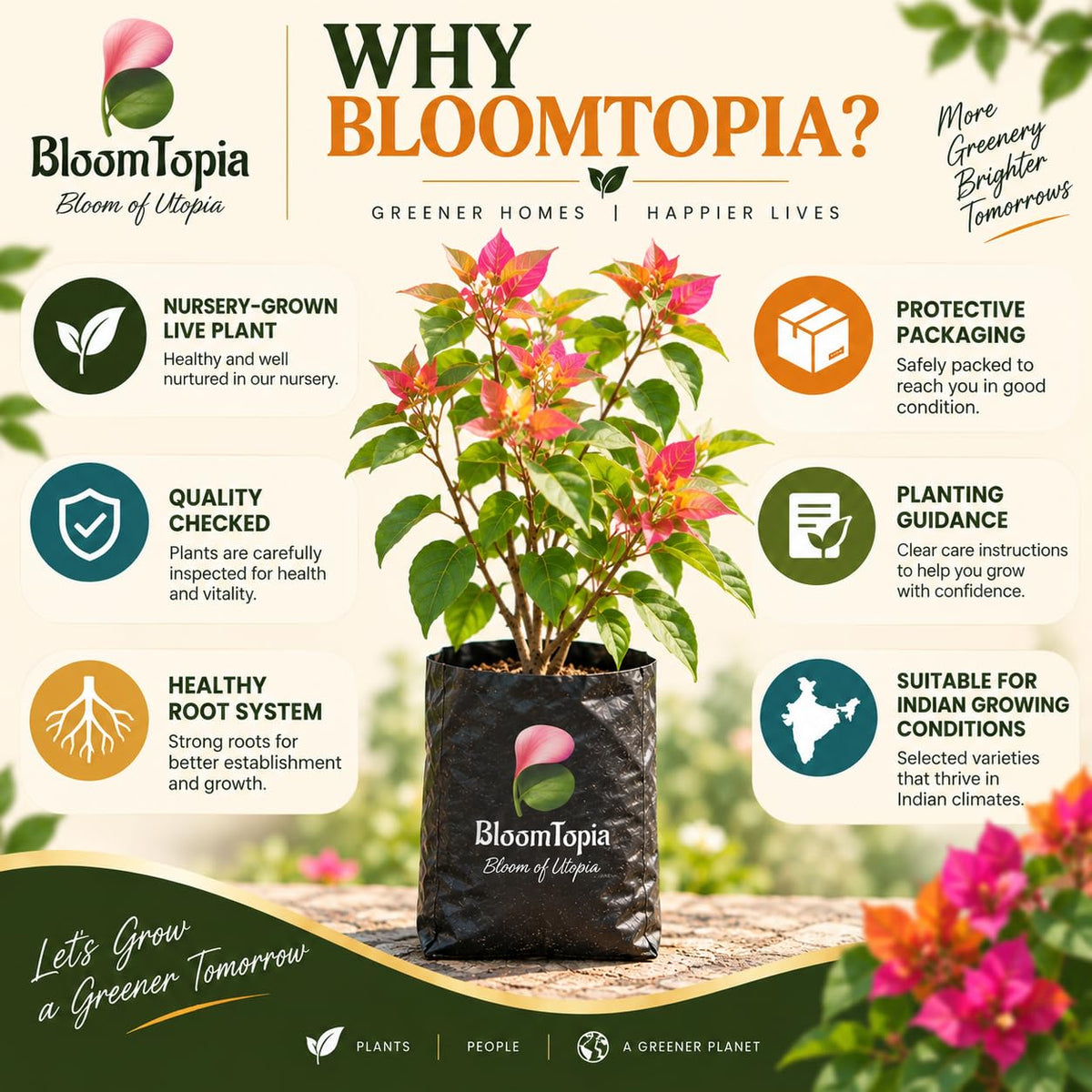 BloomTopia plant-handling and brand-information panel featuring Bougainvillea.