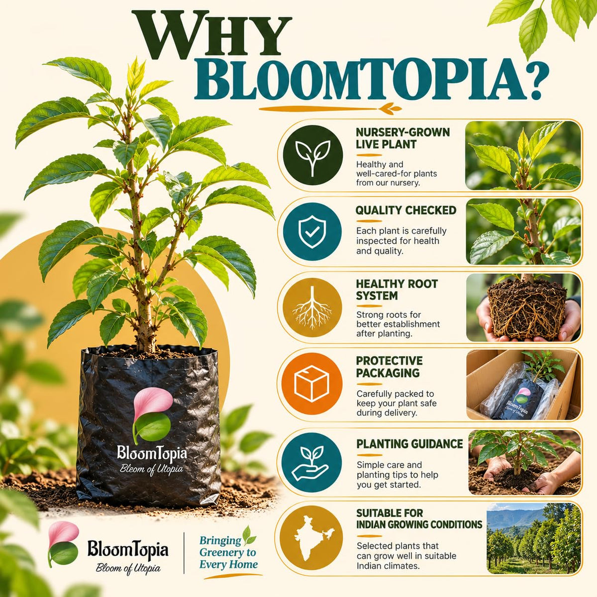 BloomTopia plant-handling and brand-information panel featuring Nashpati Pear.