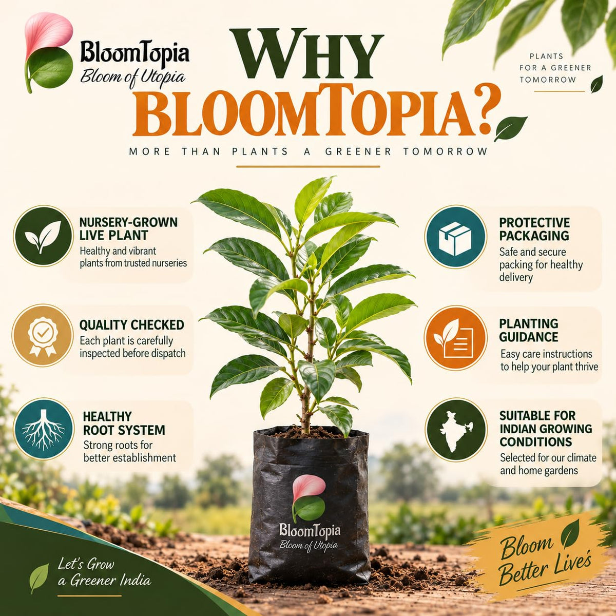 BloomTopia plant-handling and brand-information panel featuring Thai KG 10 Black Jamun.