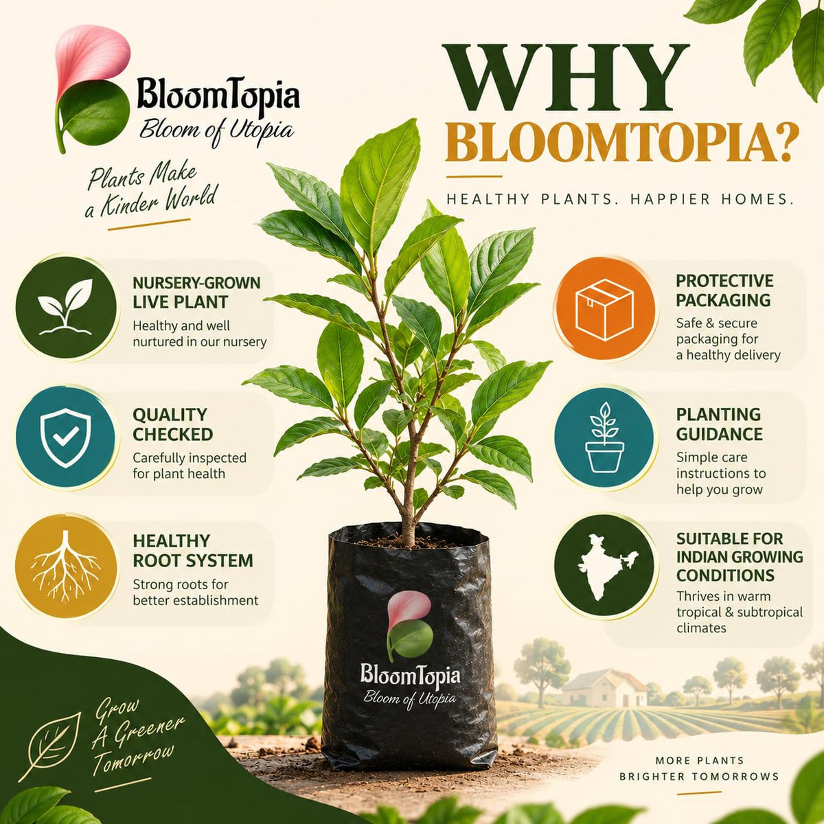 BloomTopia plant-handling and brand-information panel featuring Thai Giant KG Sugar Apple Sitafal.