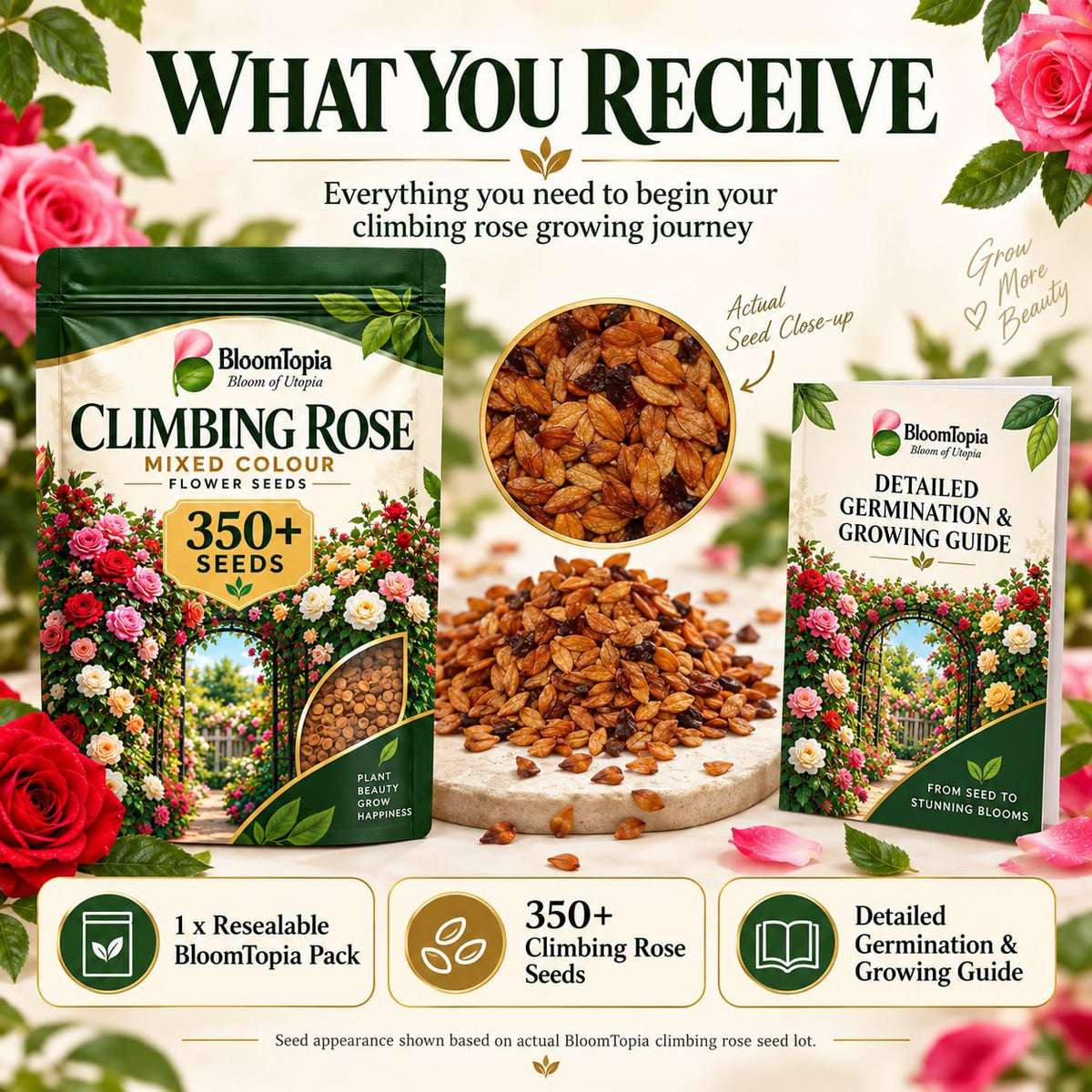 Rose seed pack, loose seeds and pack-contents panel.