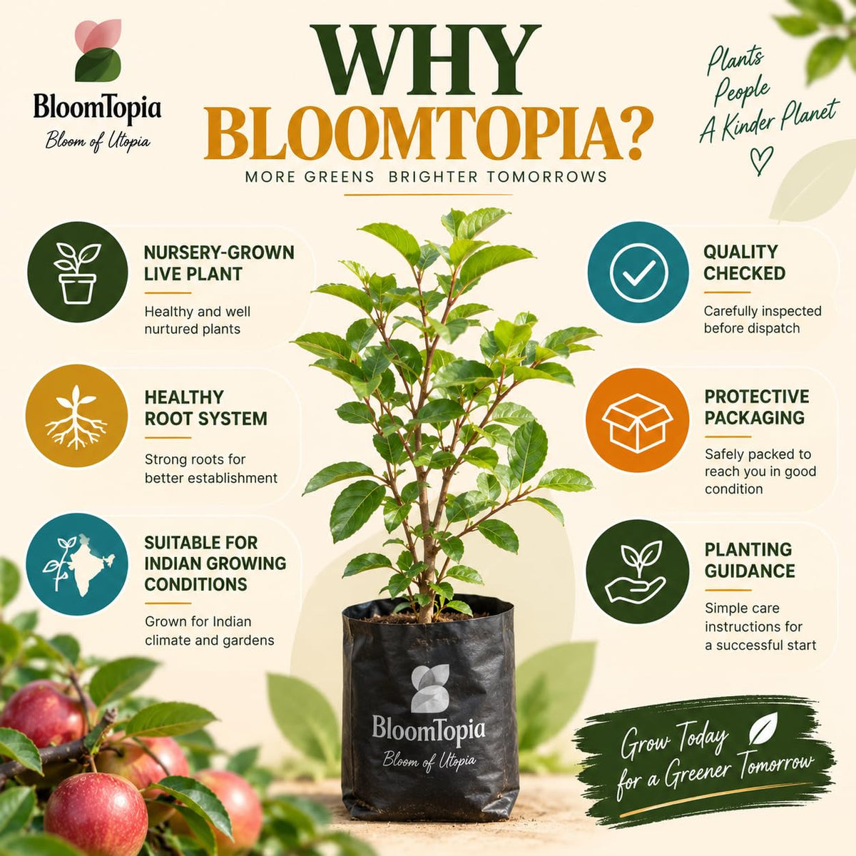 BloomTopia plant-handling and brand-information panel featuring Ball Sundari Apple Ber Fruit.