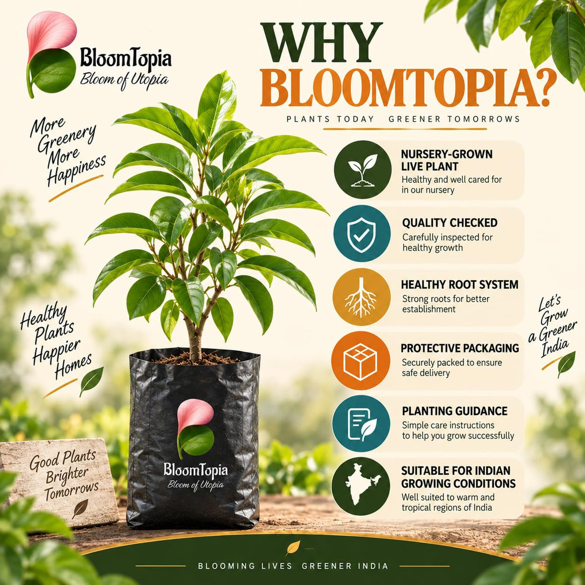 BloomTopia plant-handling and brand-information panel featuring Soursop.