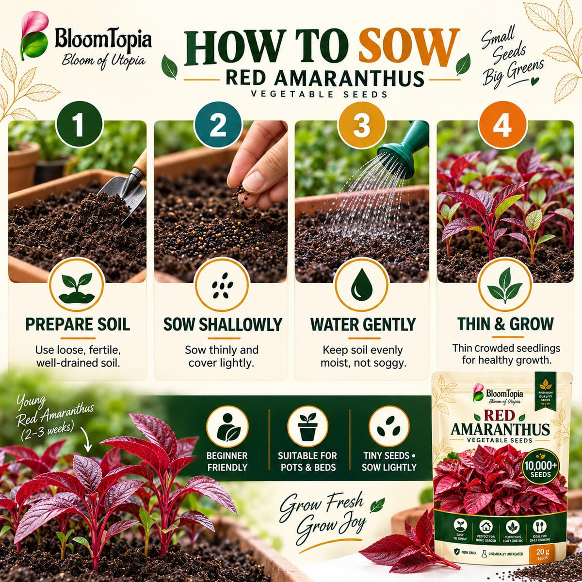 Step-by-step red amaranthus sowing guide.