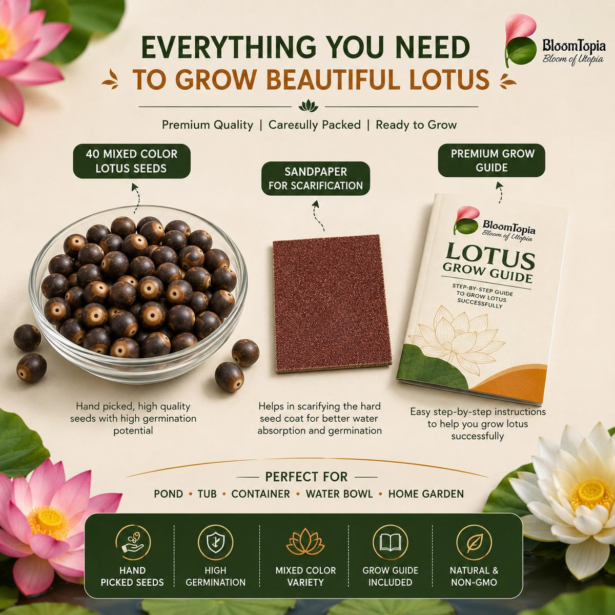 Lotus pack-contents illustration showing seeds and sandpaper.