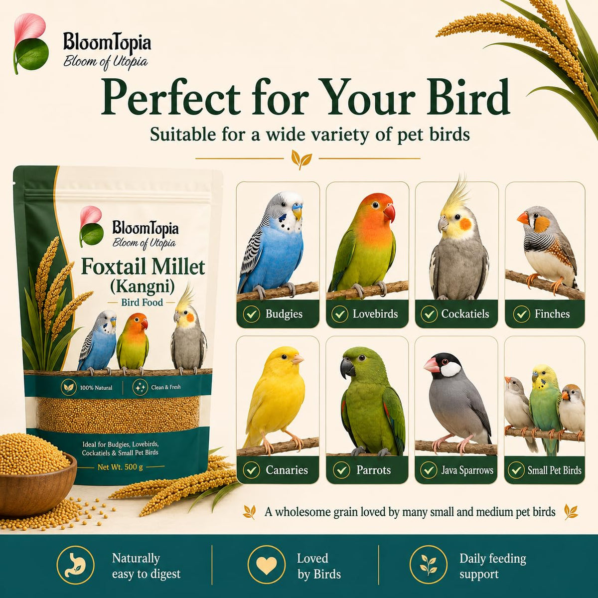 Examples of birds beside a foxtail millet pack.