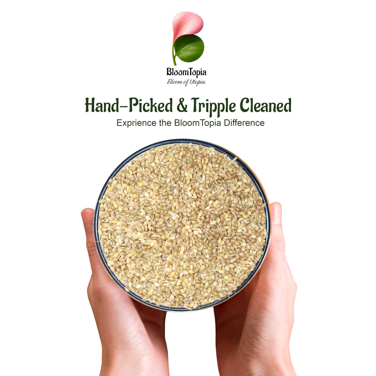 Hand holding a bowl of foxtail millet.