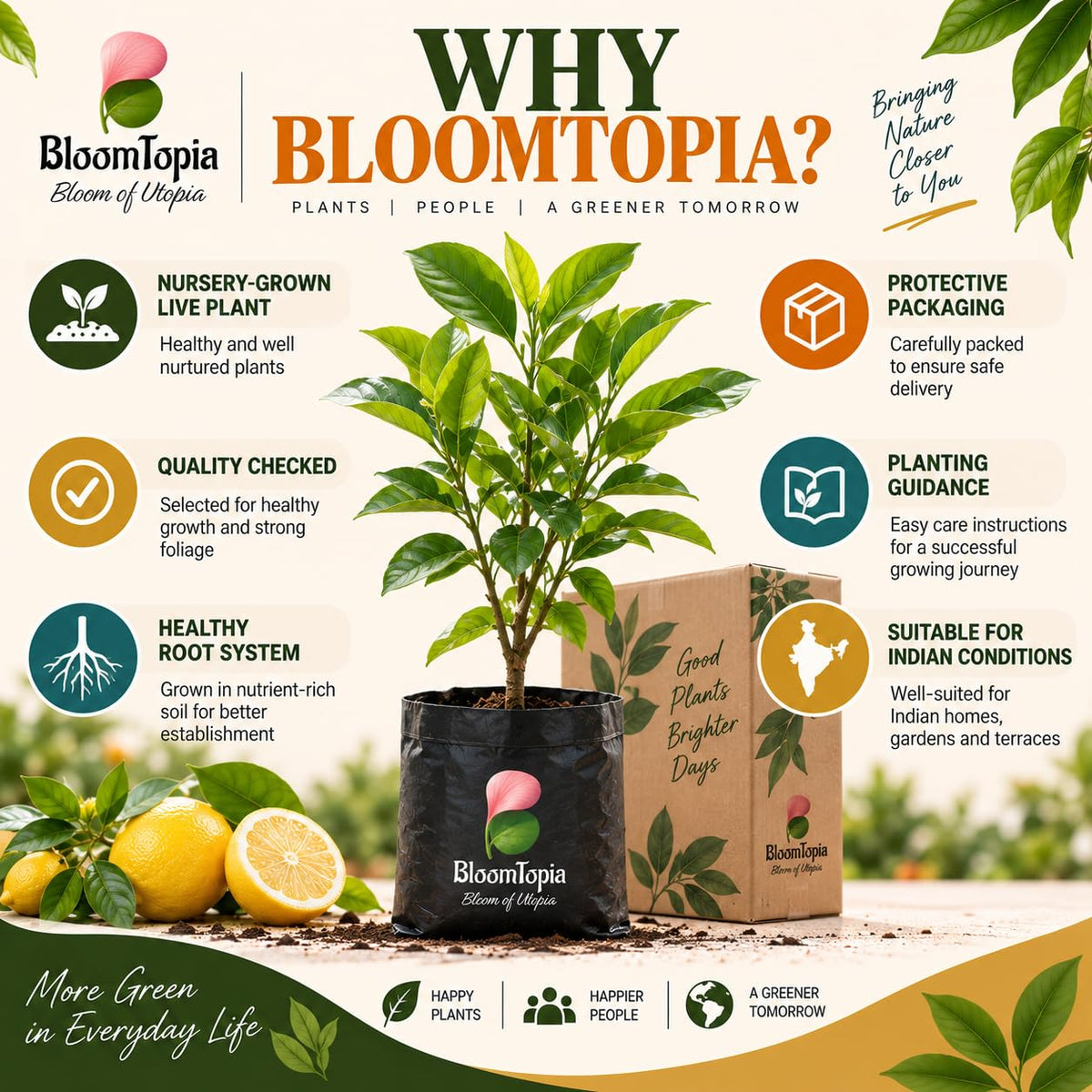 BloomTopia plant-handling and brand-information panel featuring Kolkata Pati Lebu Lemon.