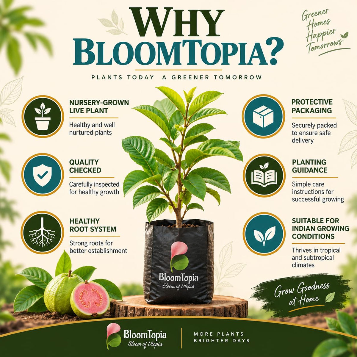 BloomTopia plant-handling and brand-information panel featuring Red Diamond Guava.