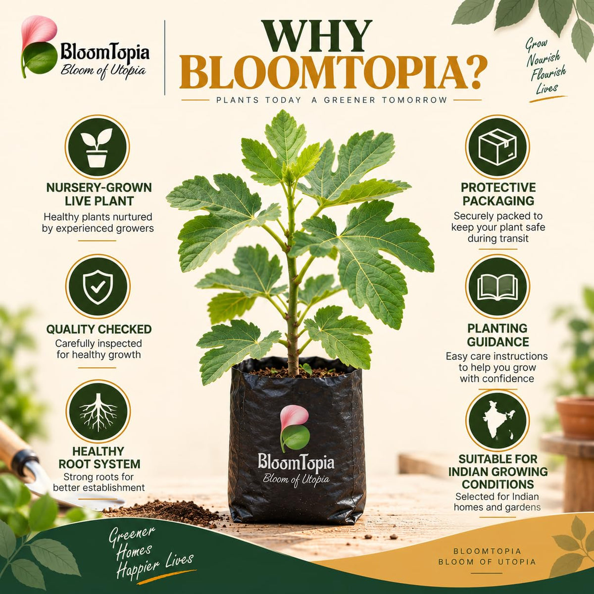 BloomTopia plant-handling and brand-information panel featuring Poona Anjeer Fig.