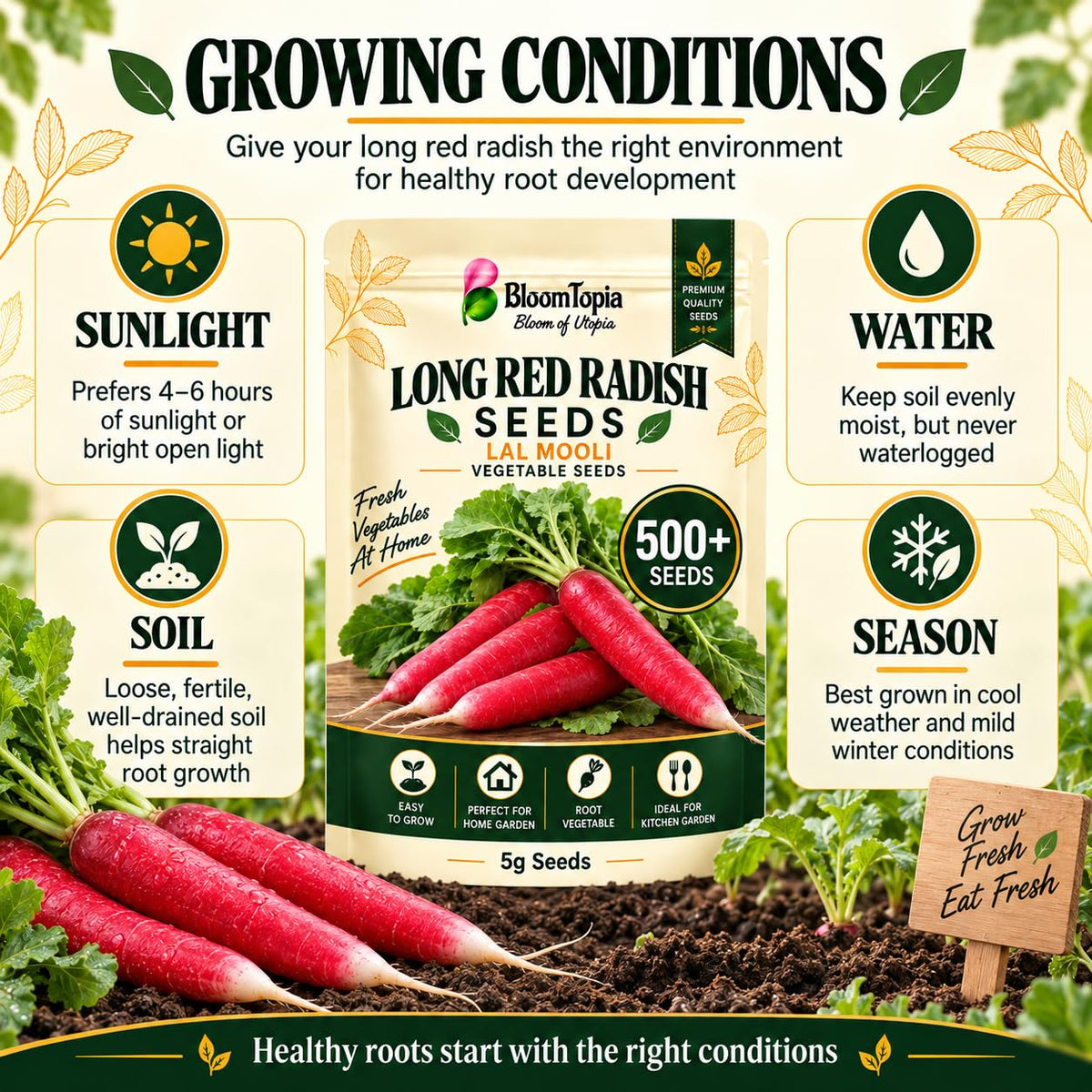 Radish light, moisture, soil and seasonal-growing guide.