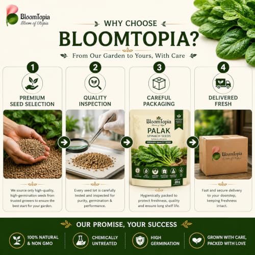 BloomTopia palak seed selection and packing panel.