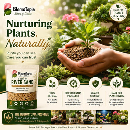 Hands holding a small plant beside river sand packaging.