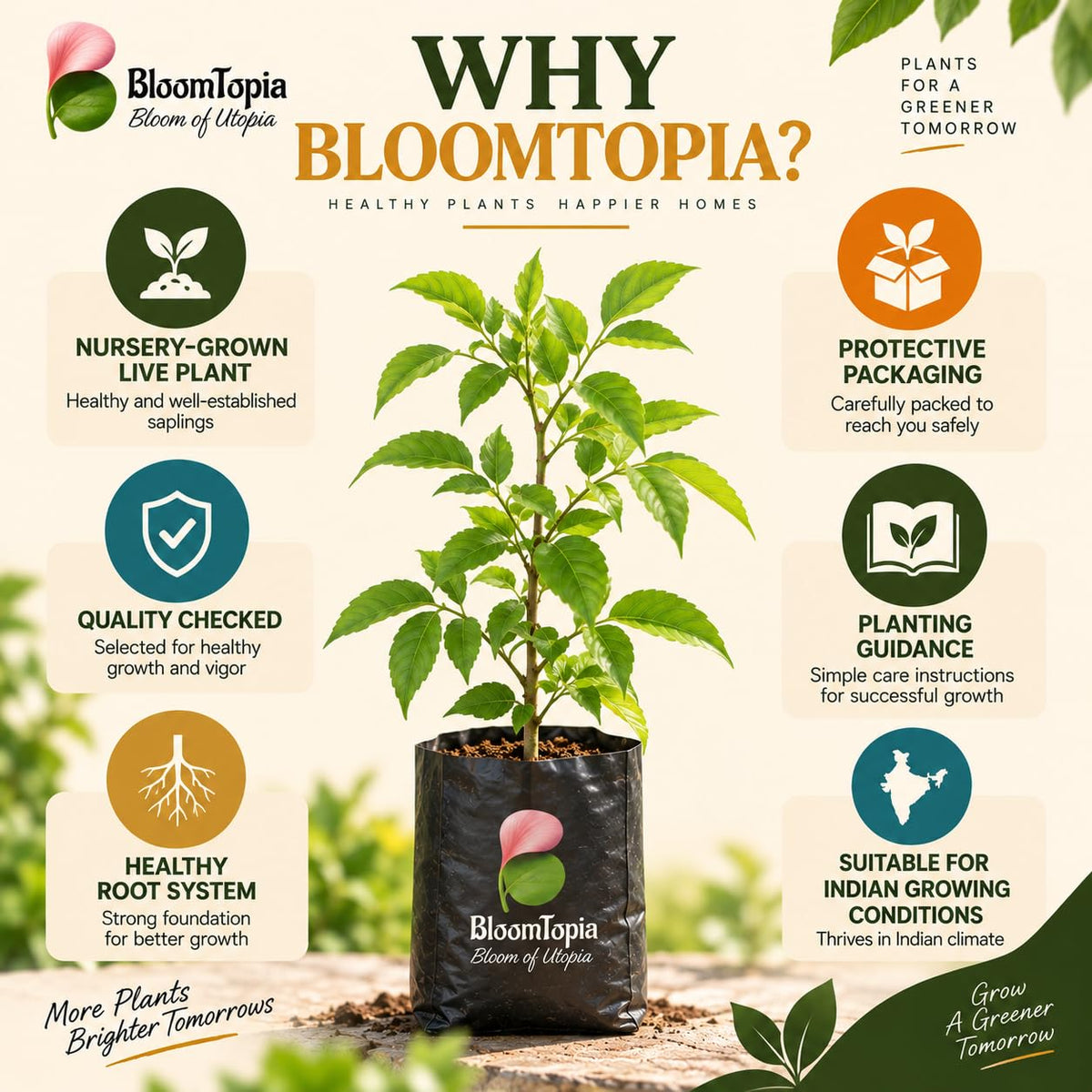 BloomTopia plant-handling and brand-information panel featuring Bel Patra Bael Bilva.