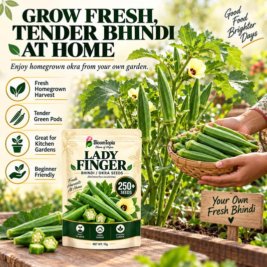 Illustrated okra plant with tender pods and a seed pack.