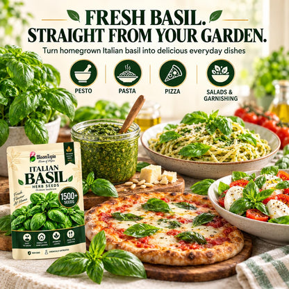 Illustration of fresh basil leaves, potted plants and dishes.