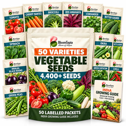 BloomTopia vegetable seed kit with labelled packets.