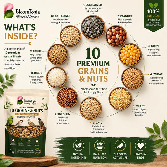 Illustrated ingredient panel for the bird seed mix.