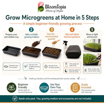 Five-step microgreen sowing and growing illustration.