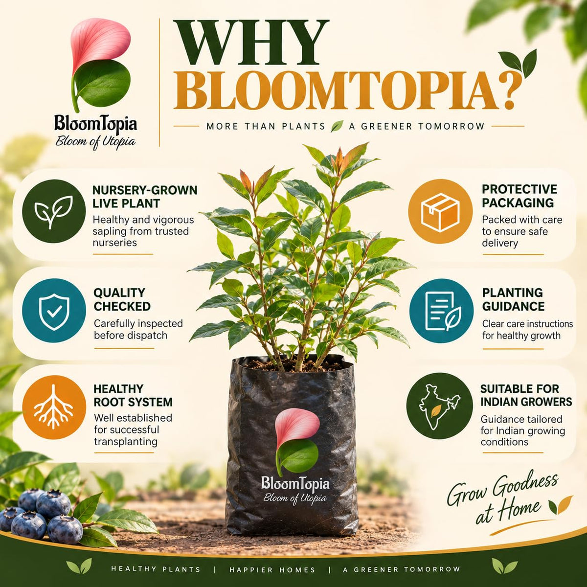 BloomTopia plant-handling and brand-information panel featuring Blueberry.