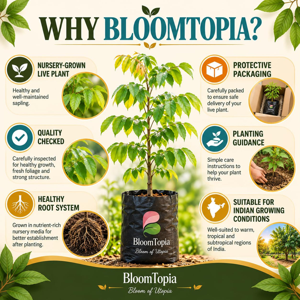 BloomTopia plant-handling and brand-information panel featuring Star Fruit (Kamranga).