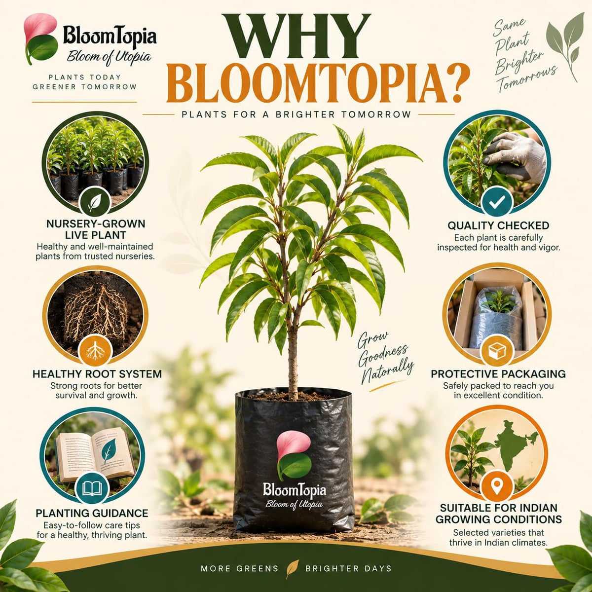 BloomTopia plant-handling and brand-information panel featuring Sharbati Peach Grafted.