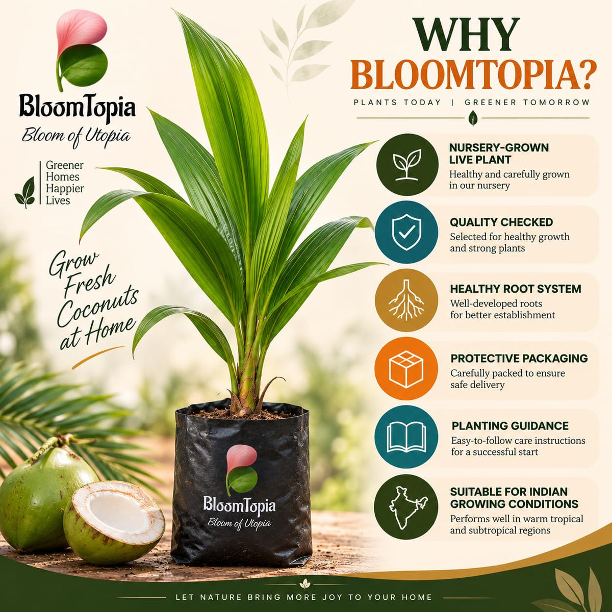 BloomTopia Vietnam dwarf coconut plant handling and packing information.