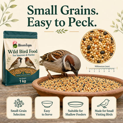 Small grains with birds around a feeding bowl.