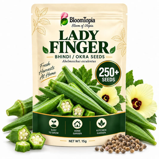 BloomTopia bhindi seed pouch beside okra pods and loose seeds.