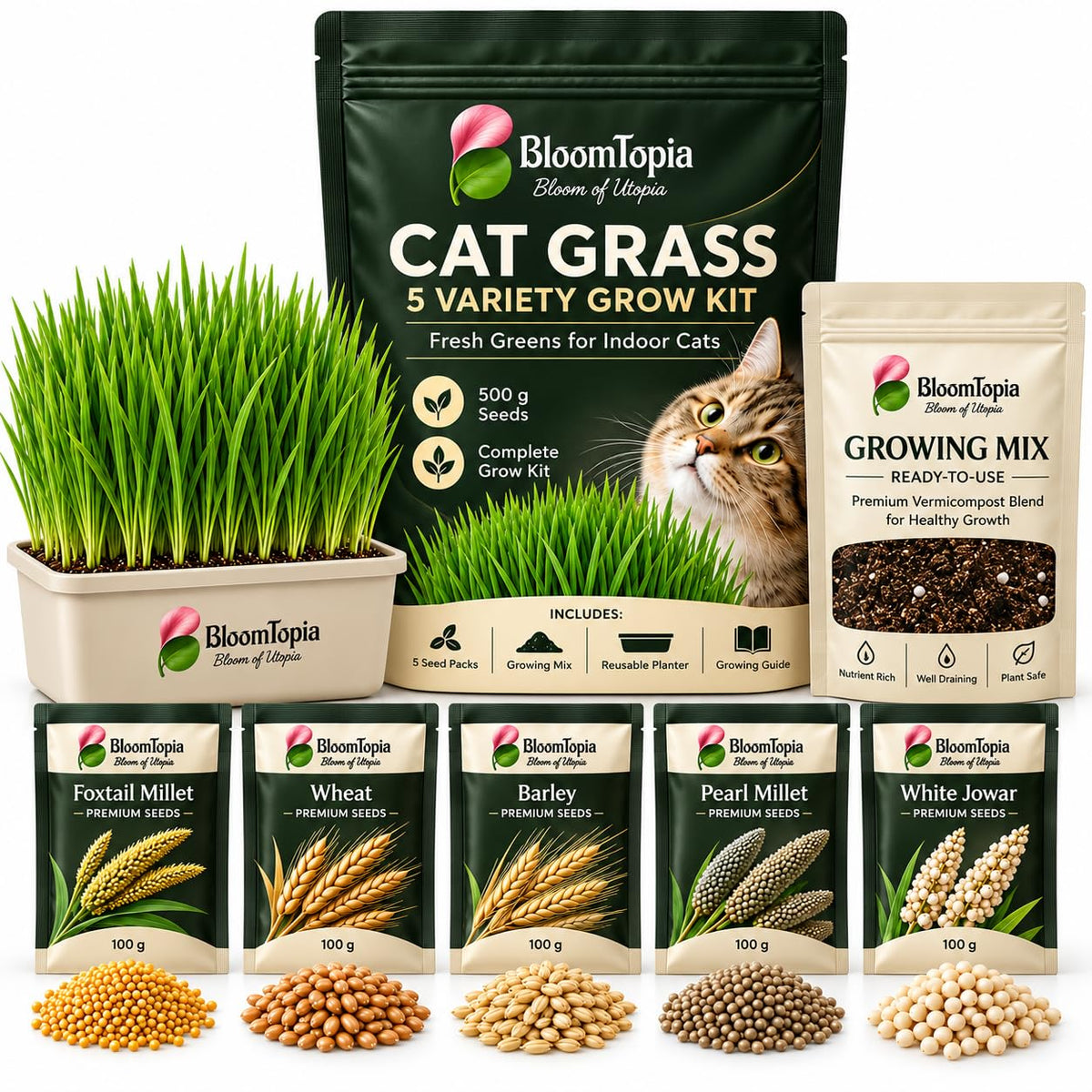 BloomTopia cat grass growing kit with five seed packets and a planter.