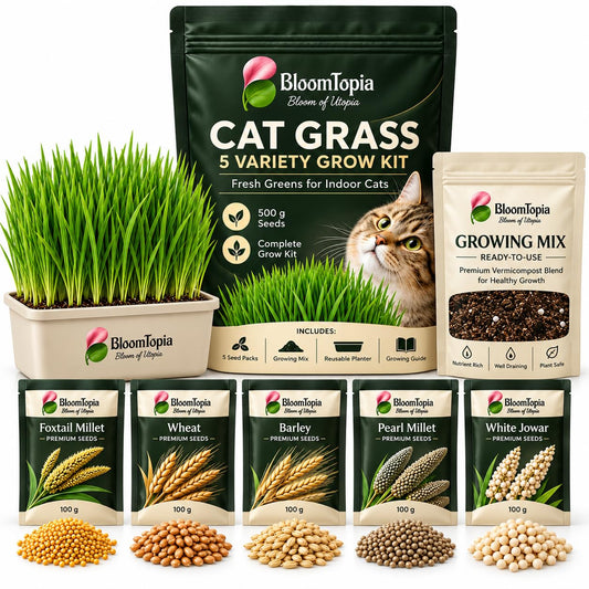 BloomTopia cat grass growing kit with five seed packets and a planter.