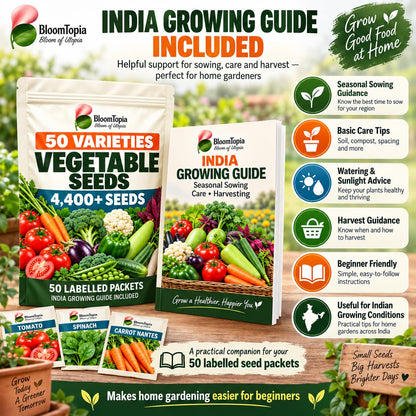 India seasonal vegetable growing guide illustration.