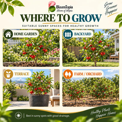 Illustrated growing locations for Barbados Cherry.