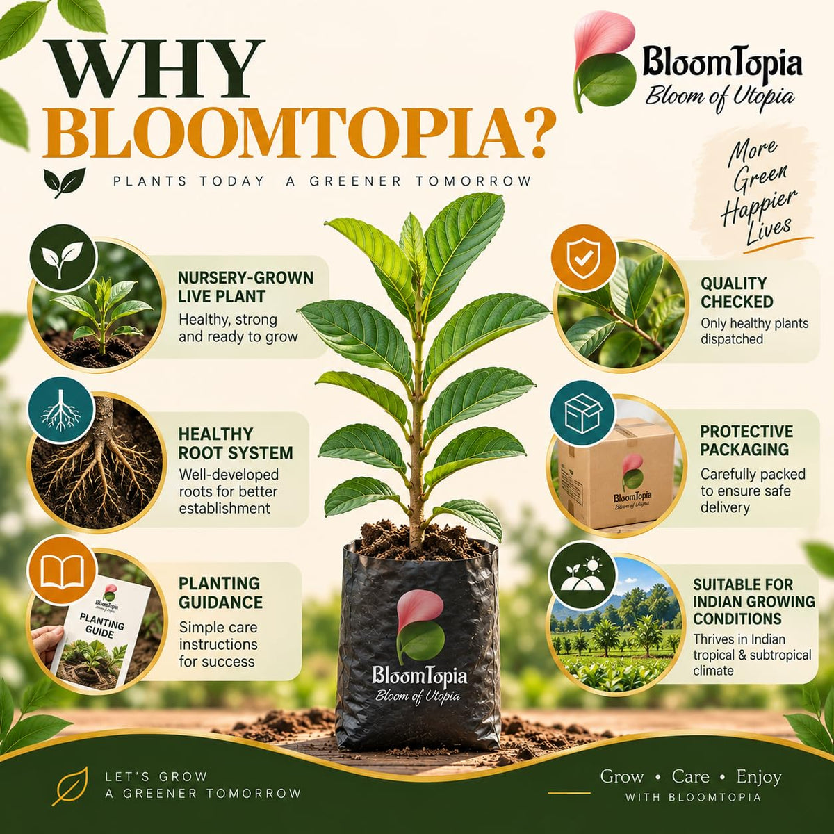 BloomTopia plant-handling and brand-information panel featuring All Seasons Guava.